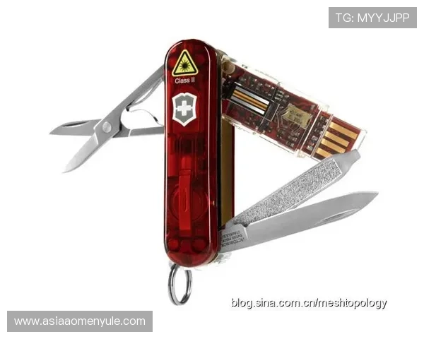 如何安全访问pa视讯网站入口，防止账号被盗的全面安全指南